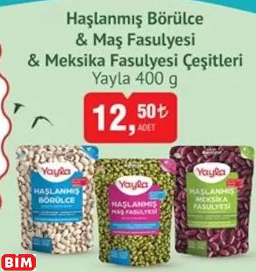 YAYLA HAŞLANMIŞ BÖRÜLCE & MAŞ FASULYESİ  & MEKSİKA FASULYESİ ÇEŞİTLERİ